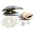 Kép 2/4 - Bijoux Indiscrets Mimi Pearl