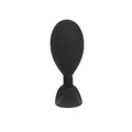 Kép 4/5 - Chisa Novelties Anal Play Plug L