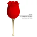 Kép 4/6 - Pretty Love Rose Lover