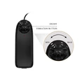 Kép 6/8 - LyBaile Beautiful Dick 11 Vibrating