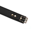 Kép 4/7 - Liebe Seele Black Organosilicon Collar With Leash