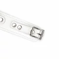 Kép 6/8 - Liebe Seele Fuji White Collar With Leash