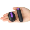 Kép 3/11 - Lovetoy Bitch Vibrating Panties