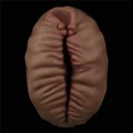 Kép 6/9 - Lovetoy Alien's Pie Masturbator 2