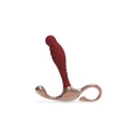 Kép 1/5 - Zini Janus Lamp Iron Prostate Massager S