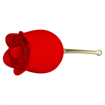 Pretty Love Rose Lover
