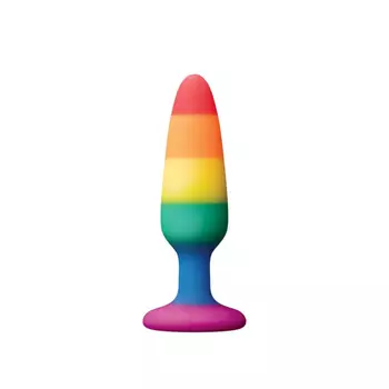 NS Novelties Colours Pride Edition Pleasure Plug Small Rainbow