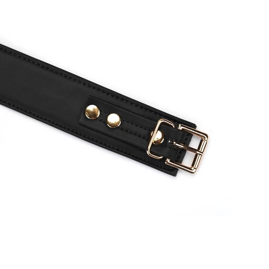 Liebe Seele Black Organosilicon Collar With Leash