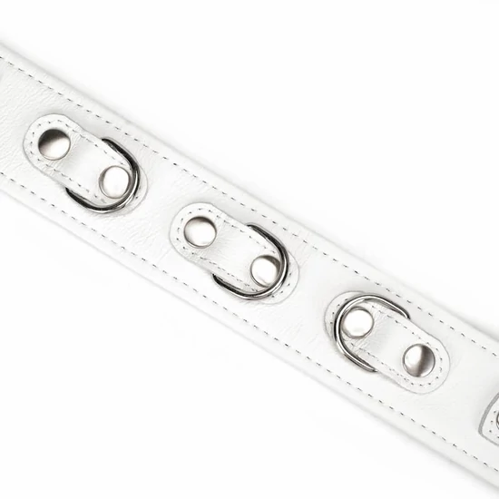 Liebe Seele Fuji White Collar With Leash