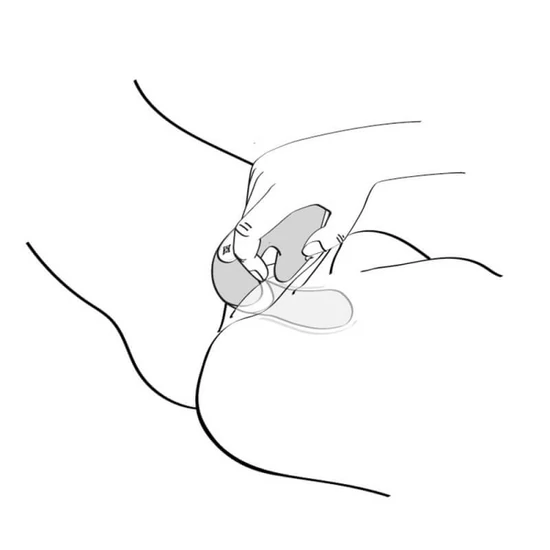 Shunga Soyo